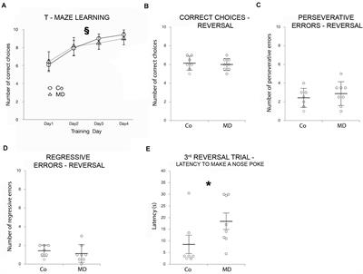 Effects of Maternal Deprivation on the Prefrontal Cortex of Male Rats: Cellular, Neurochemical, and Behavioral Outcomes